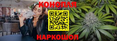 стаф Будённовск