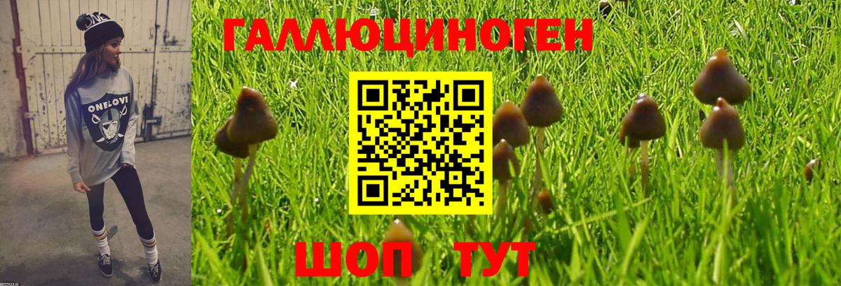 Псилоцибиновые грибы MAGIC MUSHROOMS  Вход с VPN  Кызыл 