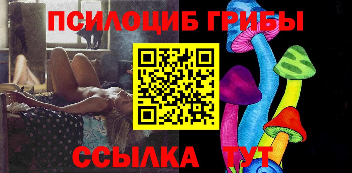 Псилоцибиновые грибы Psilocybe Кызыл